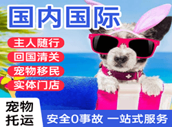 呼伦贝尔空运地址国际宠物托运 【国